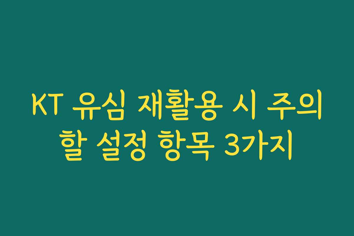 KT 유심 재활용 시 주의할 설정 항목 3가지