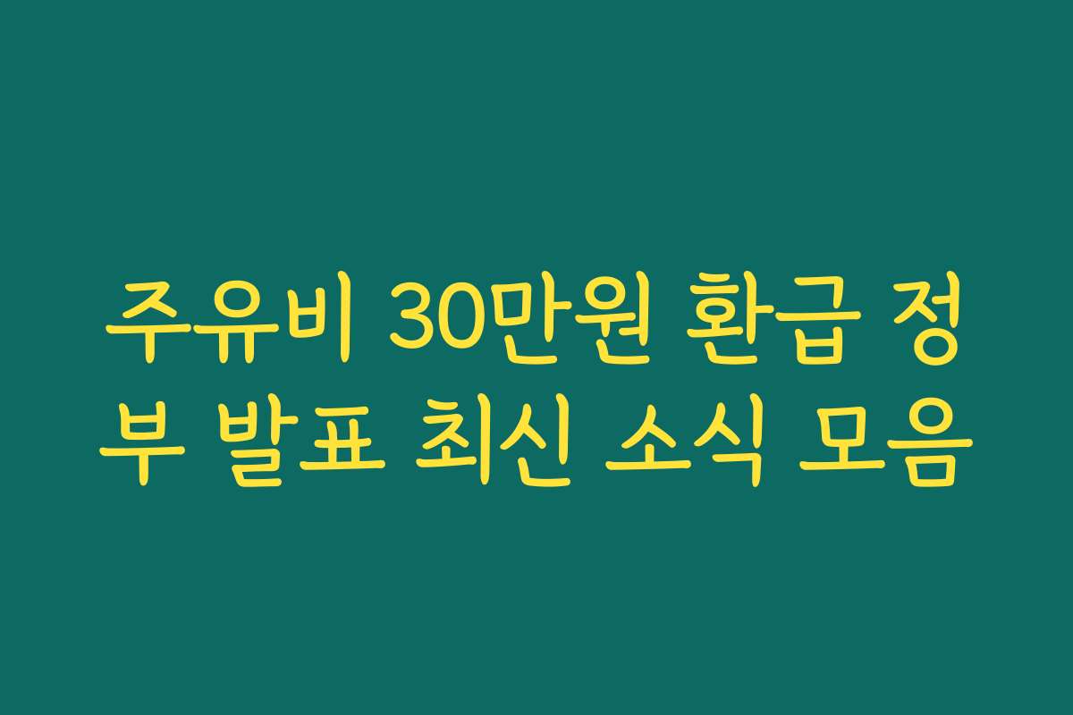 주유비 30만원 환급 정부 발표 최신 소식 모음