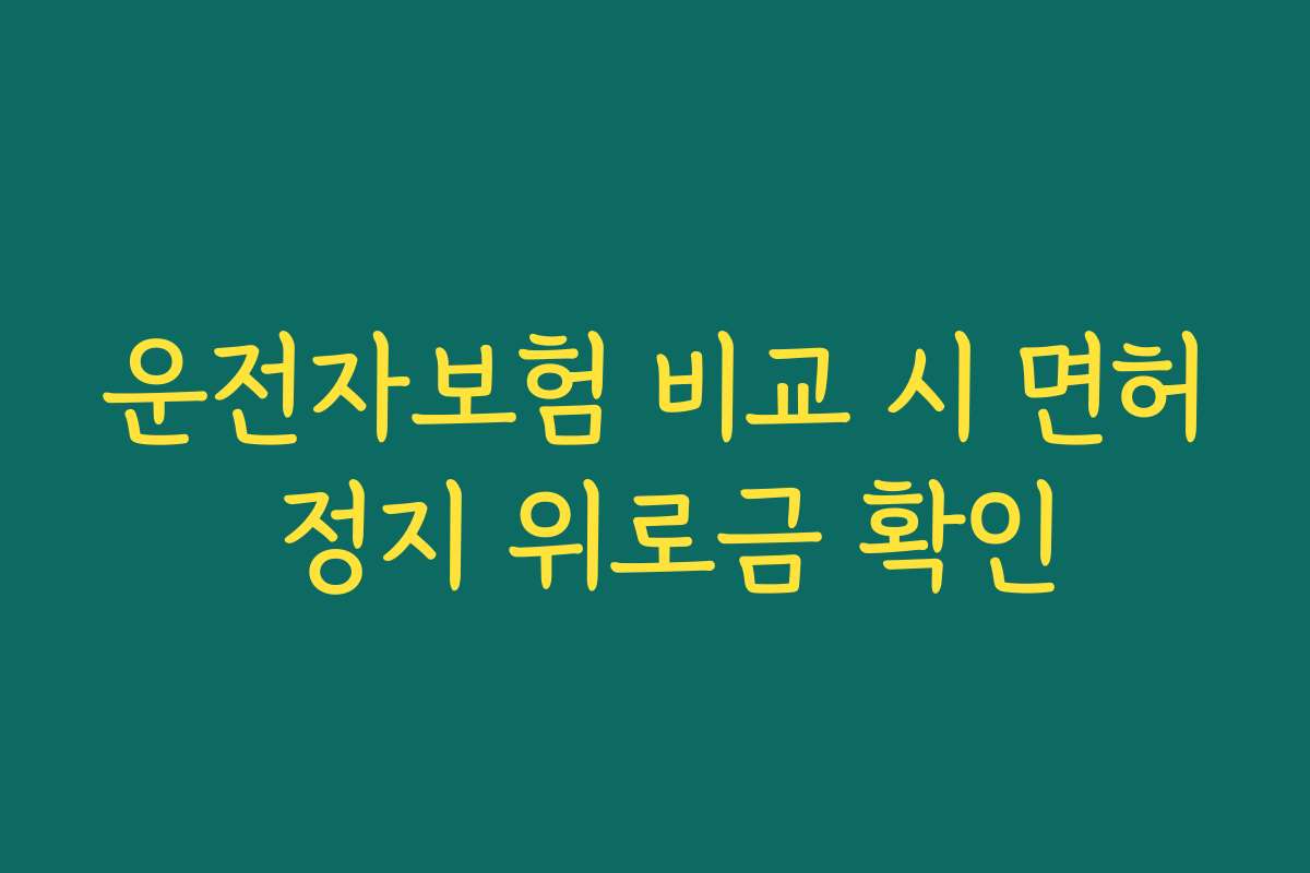 운전자보험 비교 시 면허 정지 위로금 확인 운전자보험 비교 시 면허 정지 위로금 확인