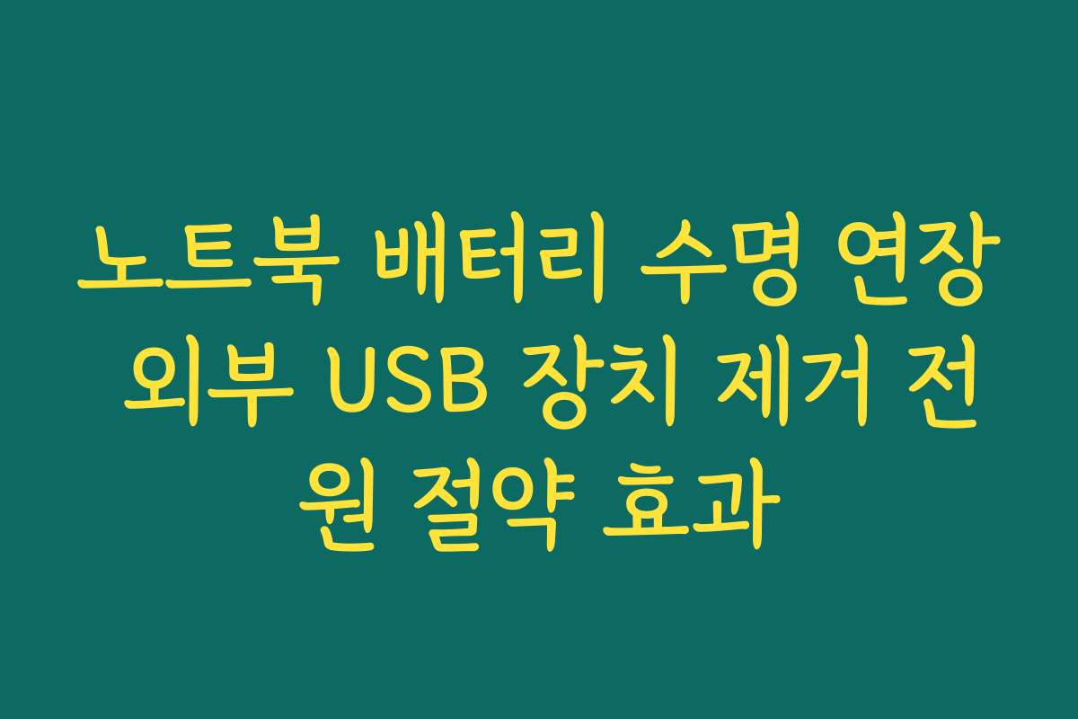 노트북 배터리 수명 연장 외부 USB 장치 제거 전원 절약 효과