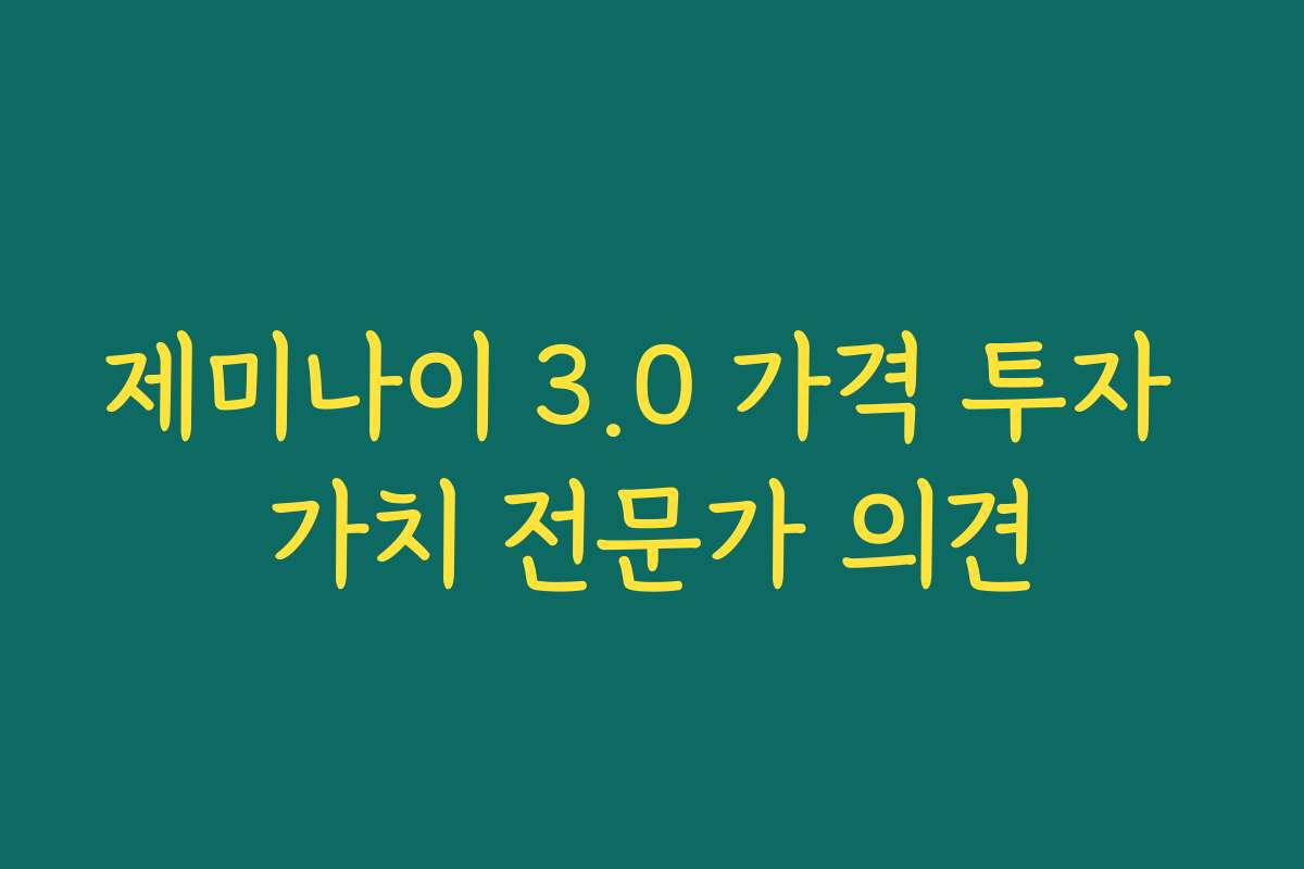 제미나이 3.0 가격 투자 가치 전문가 의견