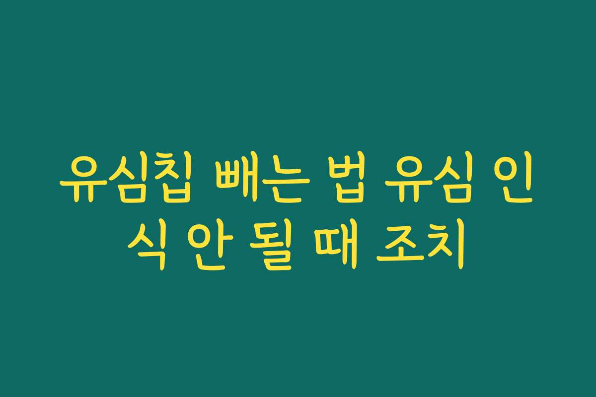유심칩 빼는 법 유심 인식 안 될 때 조치