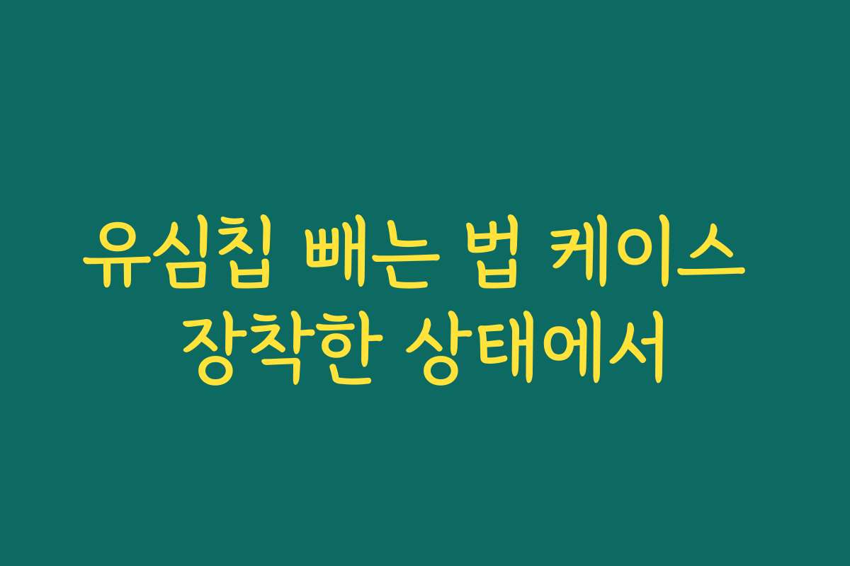 유심칩 빼는 법 케이스 장착한 상태에서