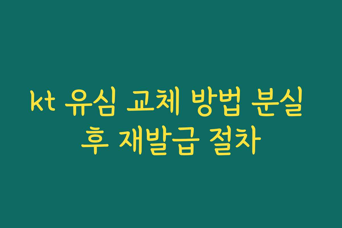 kt 유심 교체 방법 분실 후 재발급 절차 kt 유심 교체 방법 분실 후 재발급 절차