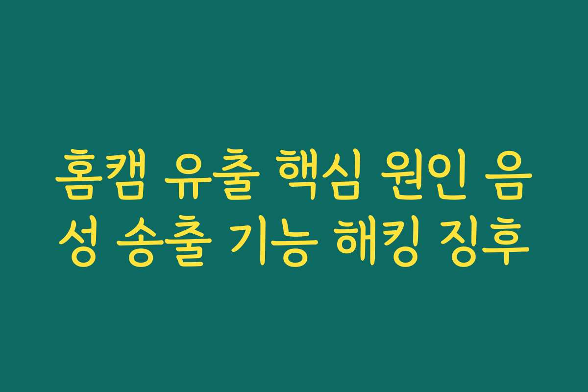 홈캠 유출 핵심 원인 음성 송출 기능 해킹 징후 홈캠 유출 핵심 원인 음성 송출 기능 해킹 징후
