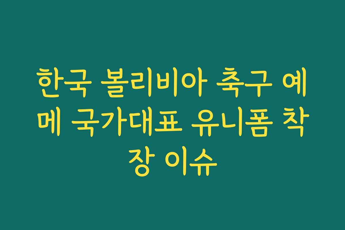 한국 볼리비아 축구 예메 국가대표 유니폼 착장 이슈