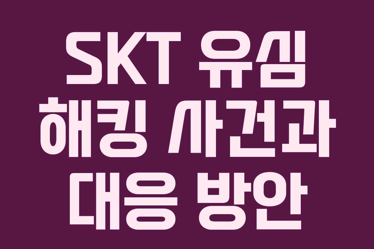 SKT 유심 해킹 사건과 대응 방안