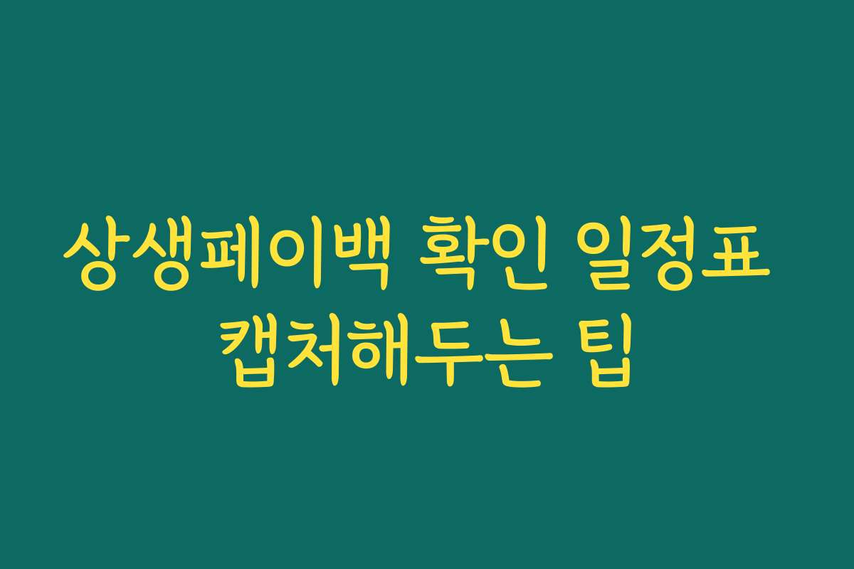 상생페이백 확인 일정표 캡처해두는 팁 상생페이백 확인 일정표 캡처해두는 팁