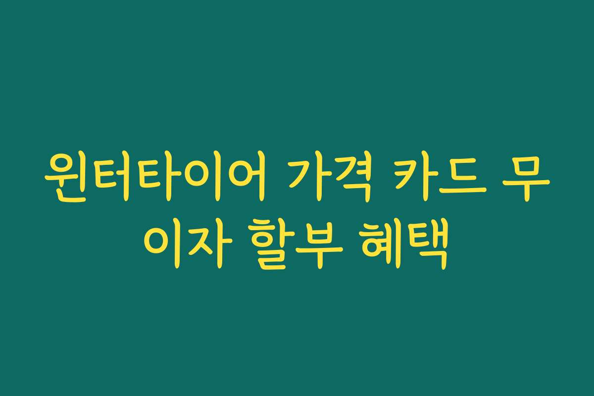 윈터타이어 가격 카드 무이자 할부 혜택 윈터타이어 가격 카드 무이자 할부 혜택