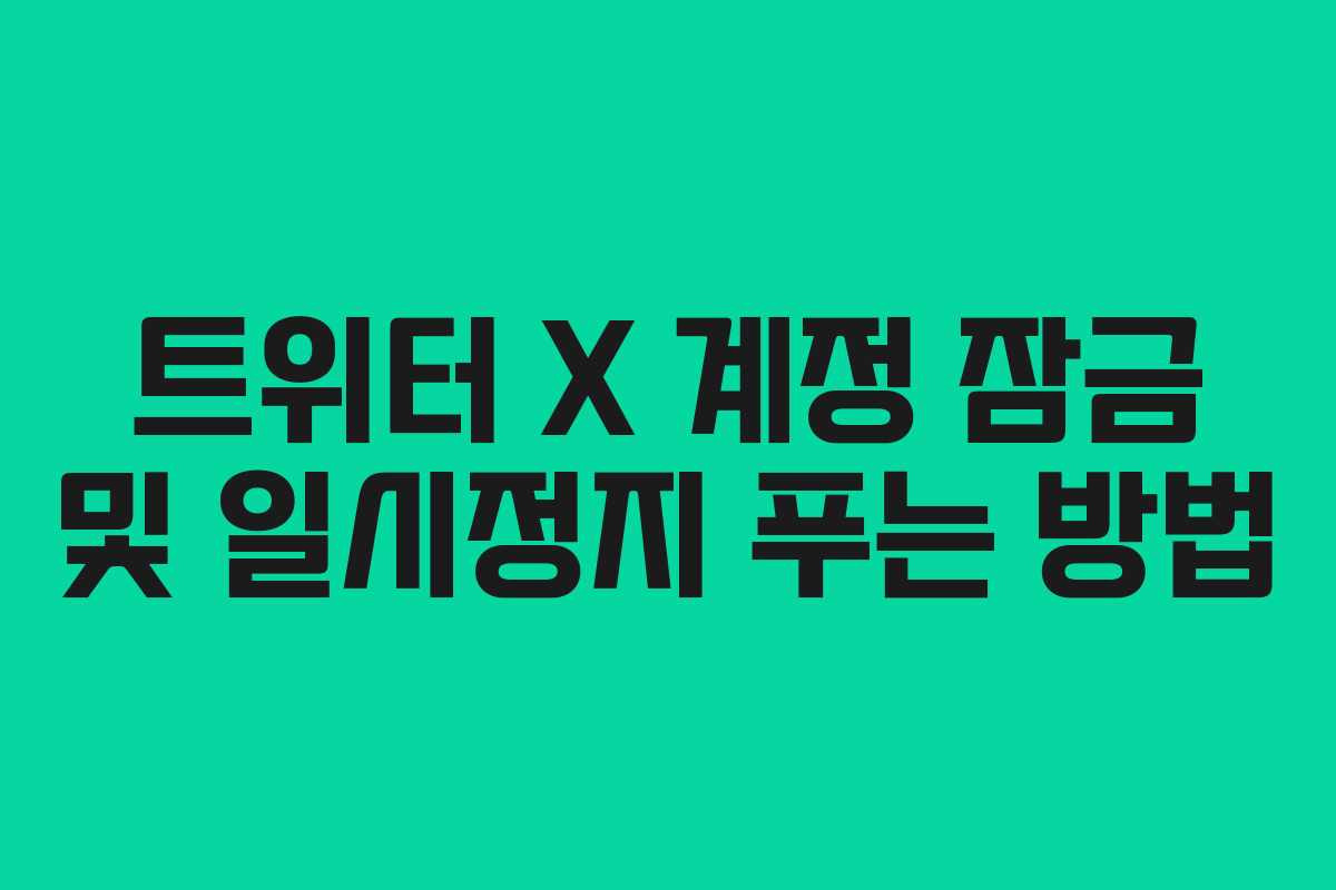 트위터 X 계정 잠금 및 일시정지 푸는 방법 트위터 X 계정 잠금 및 일시정지 푸는 방법