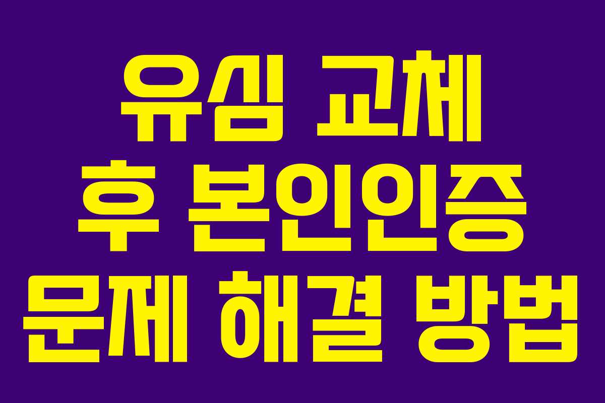 유심 교체 후 본인인증 문제 해결 방법 유심 교체 후 본인인증 문제 해결 방법