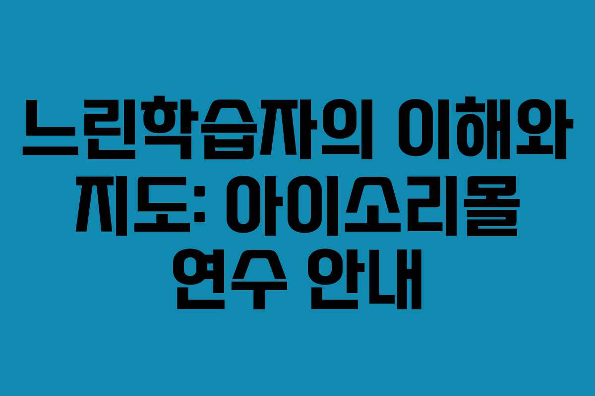 느린학습자의 이해와 지도: 아이소리몰 연수 안내