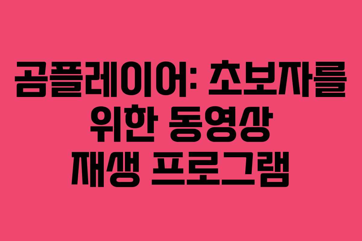 곰플레이어: 초보자를 위한 동영상 재생 프로그램 곰플레이어: 초보자를 위한 동영상 재생 프로그램