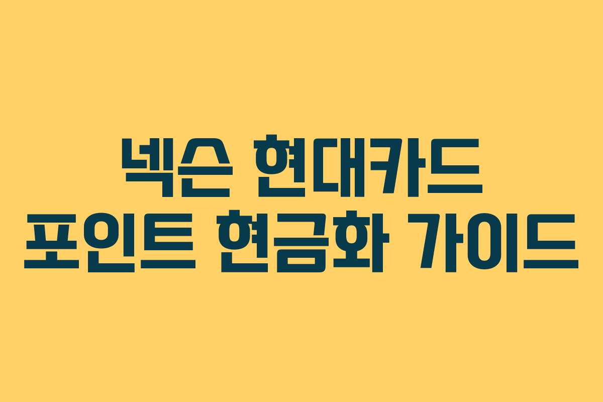 넥슨 현대카드 포인트 현금화 가이드 넥슨 현대카드 포인트 현금화 가이드