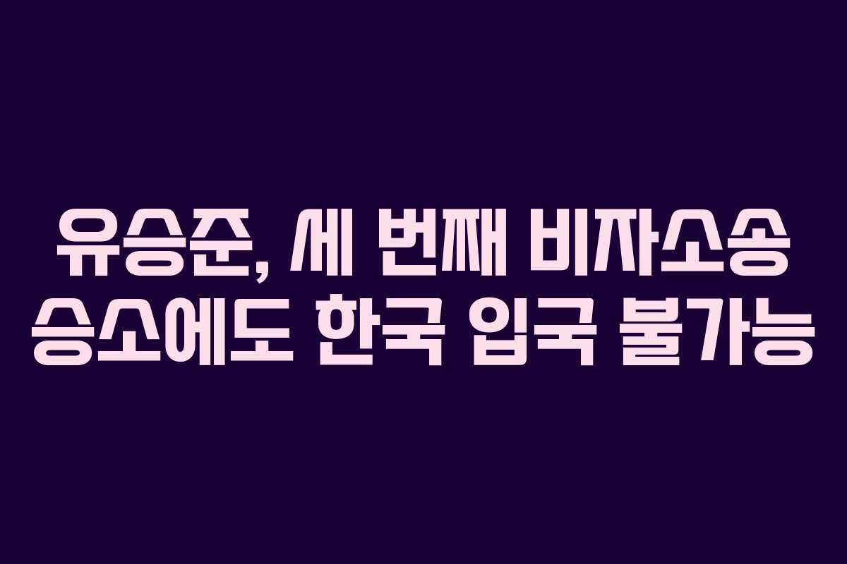 유승준, 세 번째 비자소송 승소에도 한국 입국 불가능 유승준, 세 번째 비자소송 승소에도 한국 입국 불가능