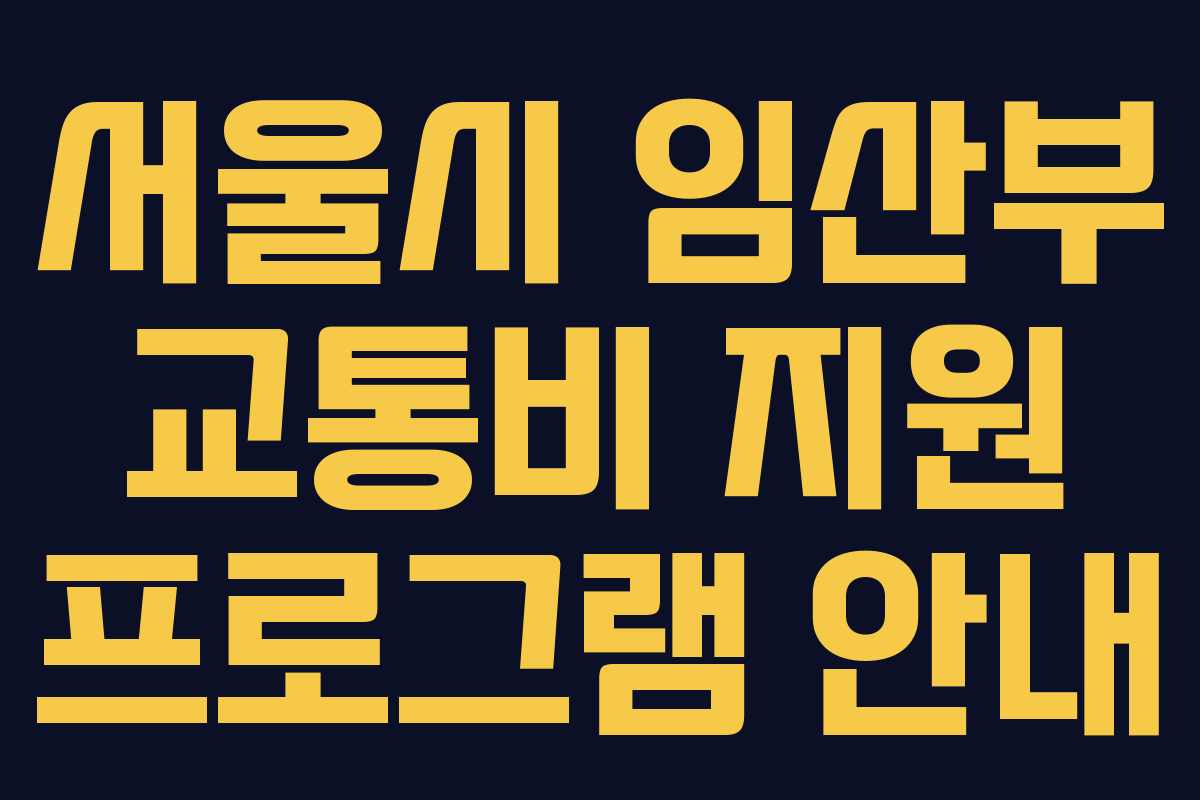 서울시 임산부 교통비 지원 프로그램 안내