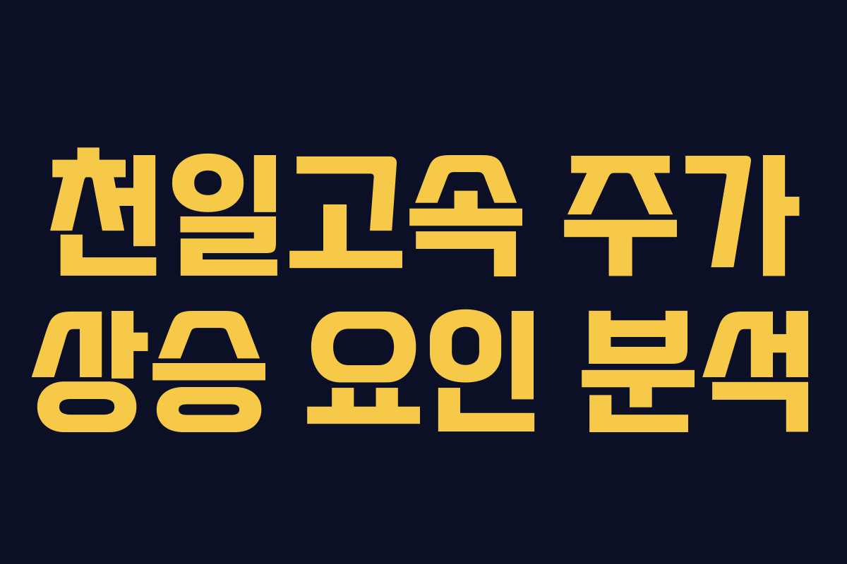 천일고속 주가 상승 요인 분석