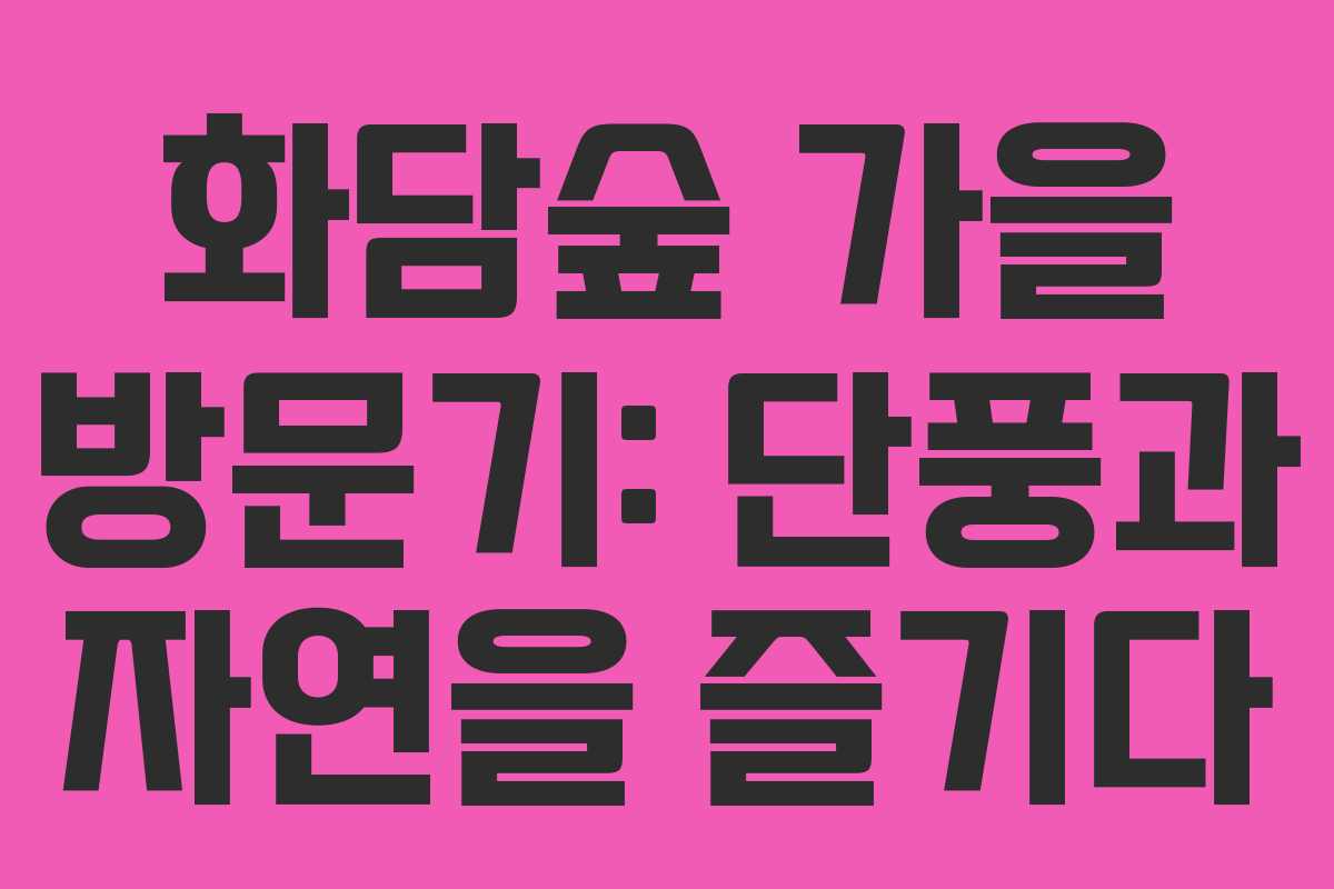 화담숲 가을 방문기: 단풍과 자연을 즐기다