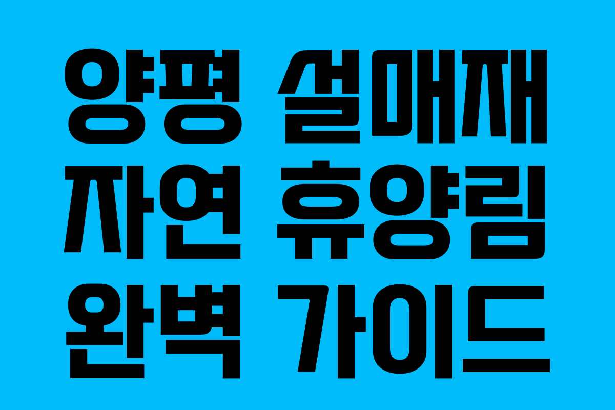양평 설매재 자연 휴양림 완벽 가이드 양평 설매재 자연 휴양림 완벽 가이드