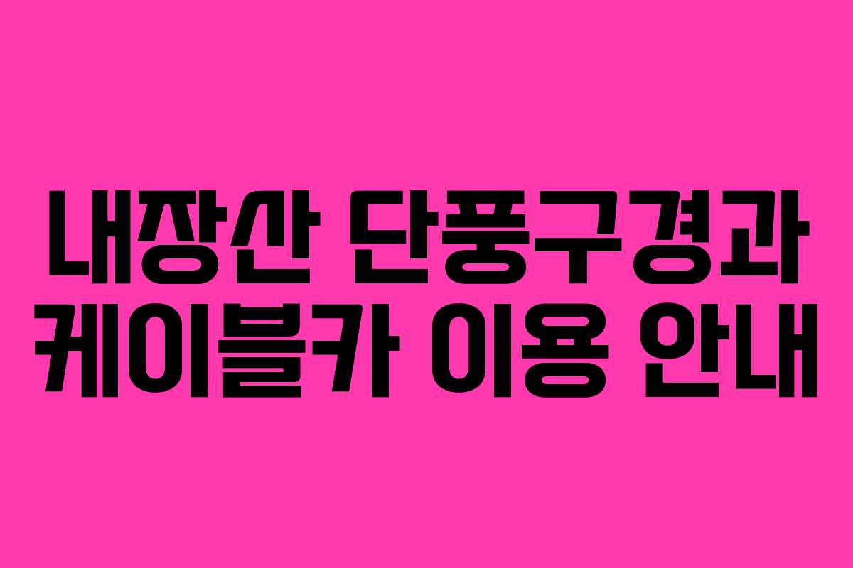 내장산 단풍구경과 케이블카 이용 안내