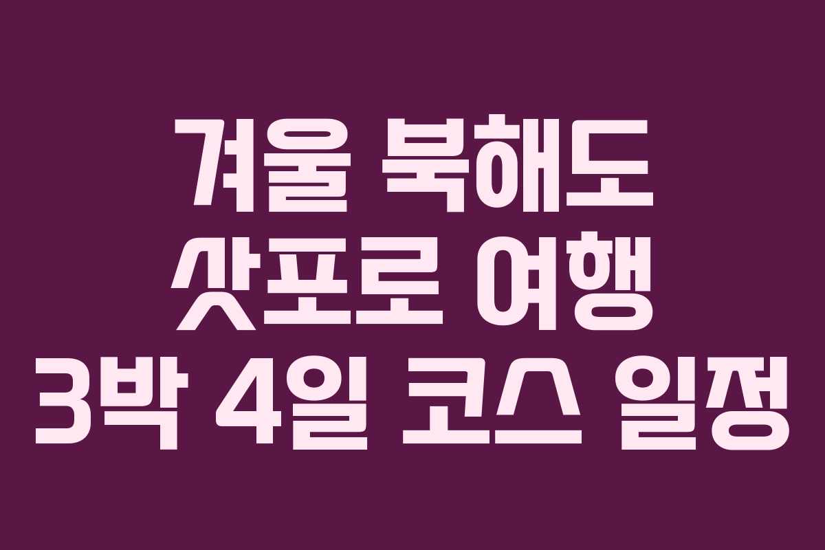 겨울 북해도 삿포로 여행 3박 4일 코스 일정