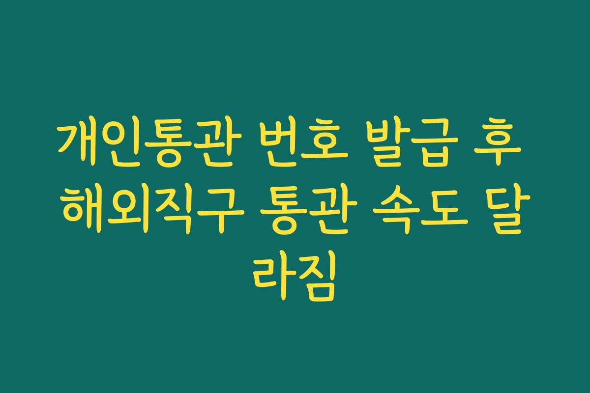 개인통관 번호 발급 후 해외직구 통관 속도 달라짐 개인통관 번호 발급 후 해외직구 통관 속도 달라짐
