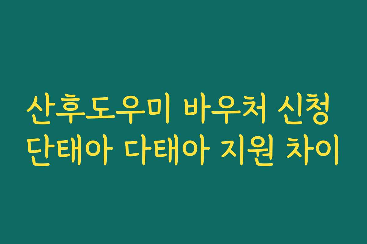 산후도우미 바우처 신청 단태아 다태아 지원 차이 산후도우미 바우처 신청 단태아 다태아 지원 차이