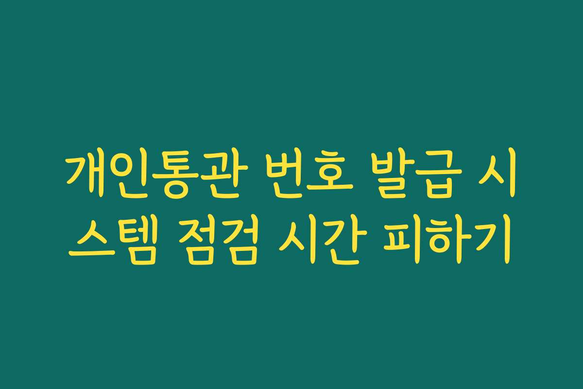 개인통관 번호 발급 시스템 점검 시간 피하기