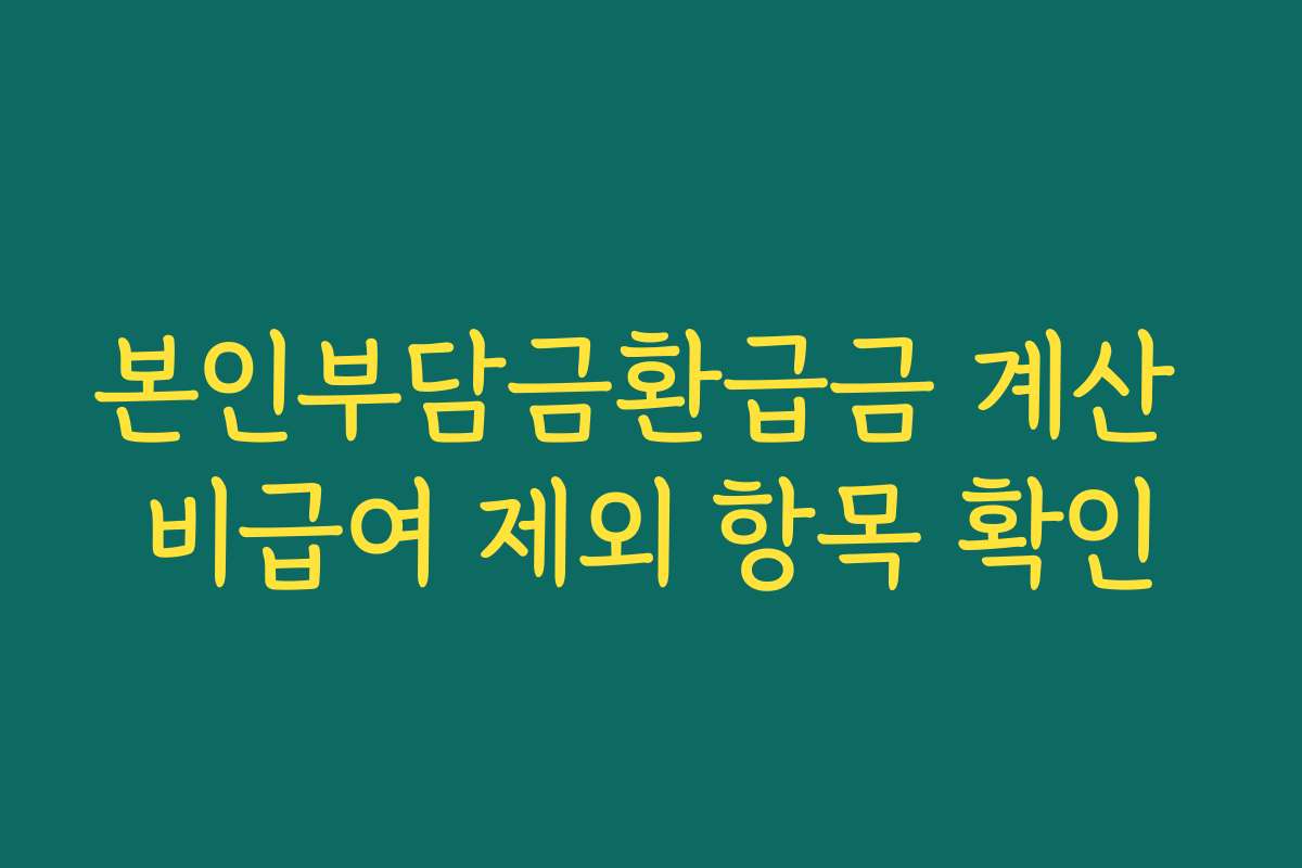 본인부담금환급금 계산 비급여 제외 항목 확인