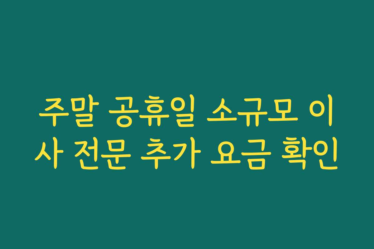 주말 공휴일 소규모 이사 전문 추가 요금 확인
