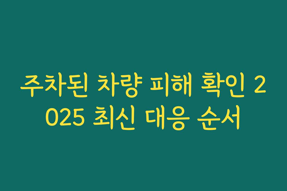 주차된 차량 피해 확인 2025 최신 대응 순서 주차된 차량 피해 확인 2025 최신 대응 순서