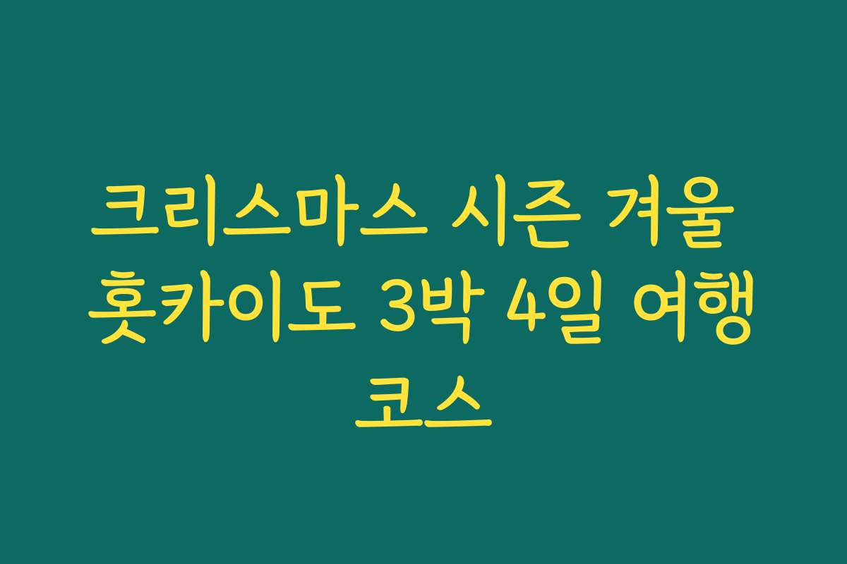 크리스마스 시즌 겨울 홋카이도 3박 4일 여행코스 크리스마스 시즌 겨울 홋카이도 3박 4일 여행코스