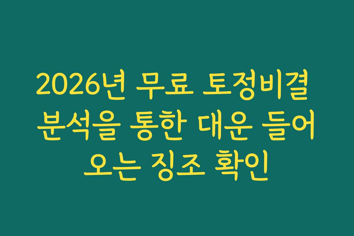 2026년 무료 토정비결 분석을 통한 대운 들어오는 징조 확인