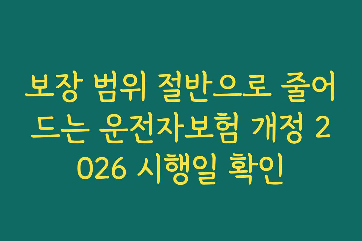 보장 범위 절반으로 줄어드는 운전자보험 개정 2026 시행일 확인 보장 범위 절반으로 줄어드는 운전자보험 개정 2026 시행일 확인