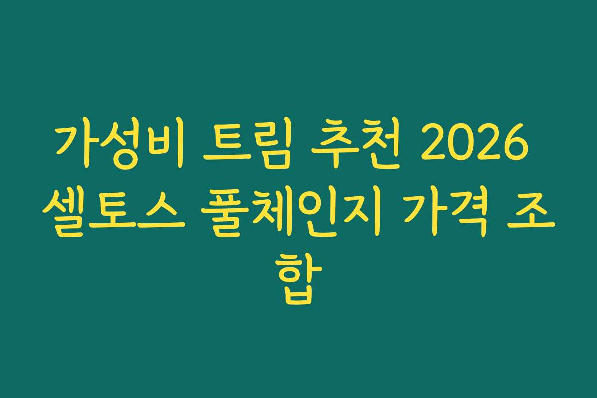 가성비 트림 추천 2026 셀토스 풀체인지 가격 조합