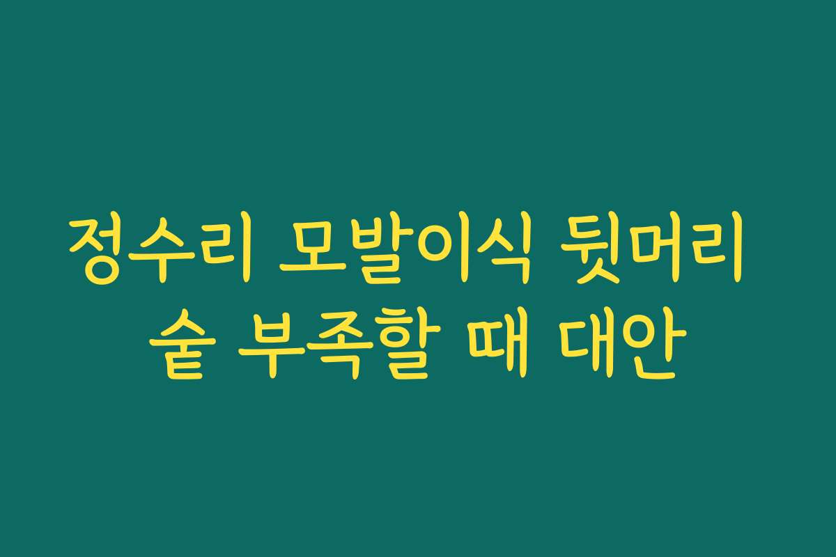 정수리 모발이식 뒷머리 숱 부족할 때 대안 정수리 모발이식 뒷머리 숱 부족할 때 대안