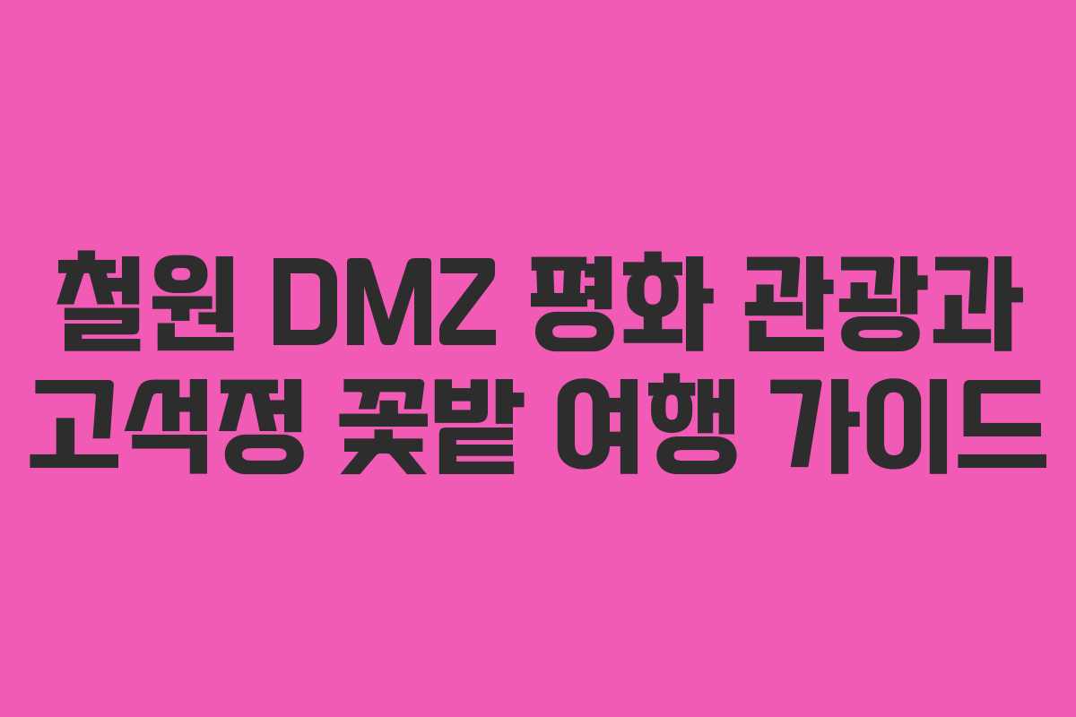 철원 DMZ 평화 관광과 고석정 꽃밭 여행 가이드