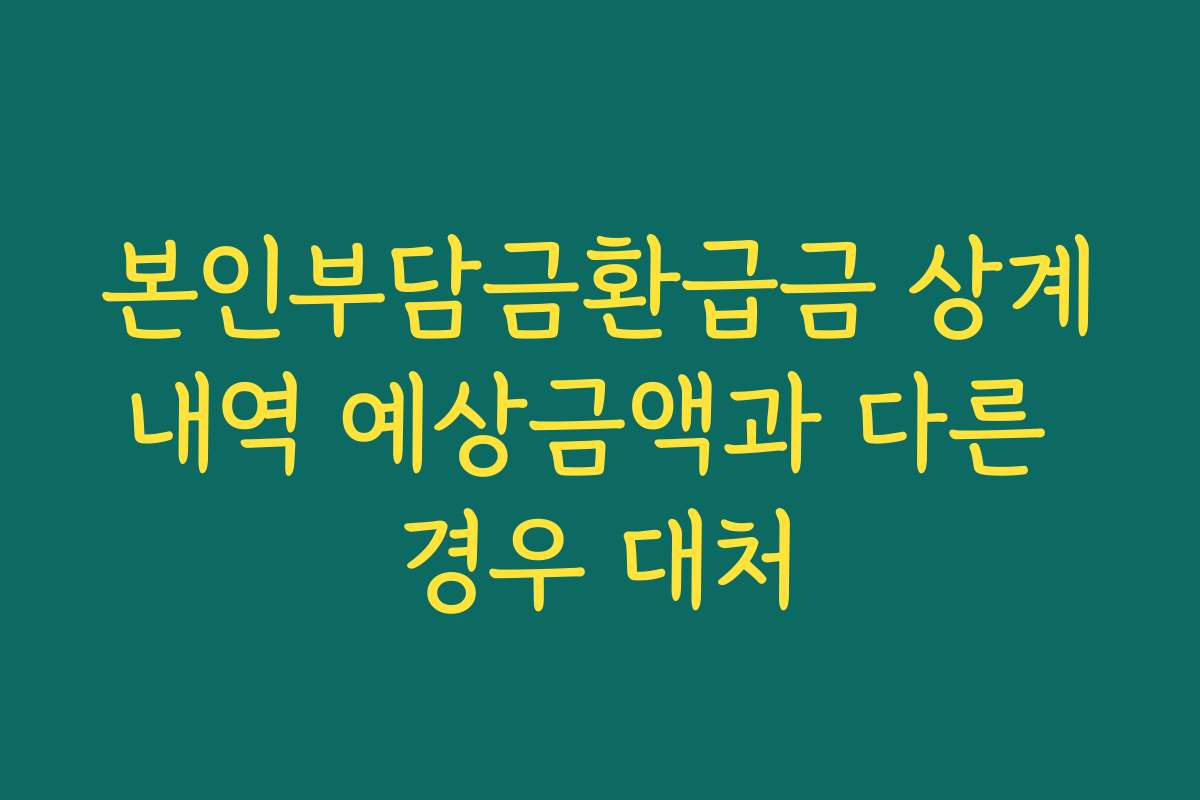 본인부담금환급금 상계내역 예상금액과 다른 경우 대처
