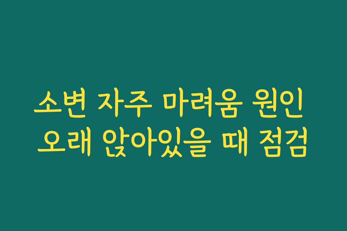 소변 자주 마려움 원인 오래 앉아있을 때 점검 소변 자주 마려움 원인 오래 앉아있을 때 점검
