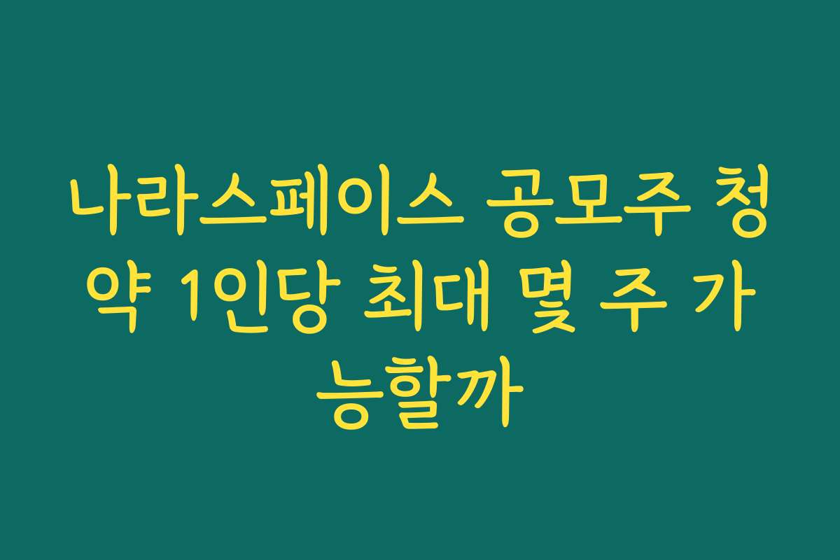 나라스페이스 공모주 청약 1인당 최대 몇 주 가능할까 나라스페이스 공모주 청약 1인당 최대 몇 주 가능할까