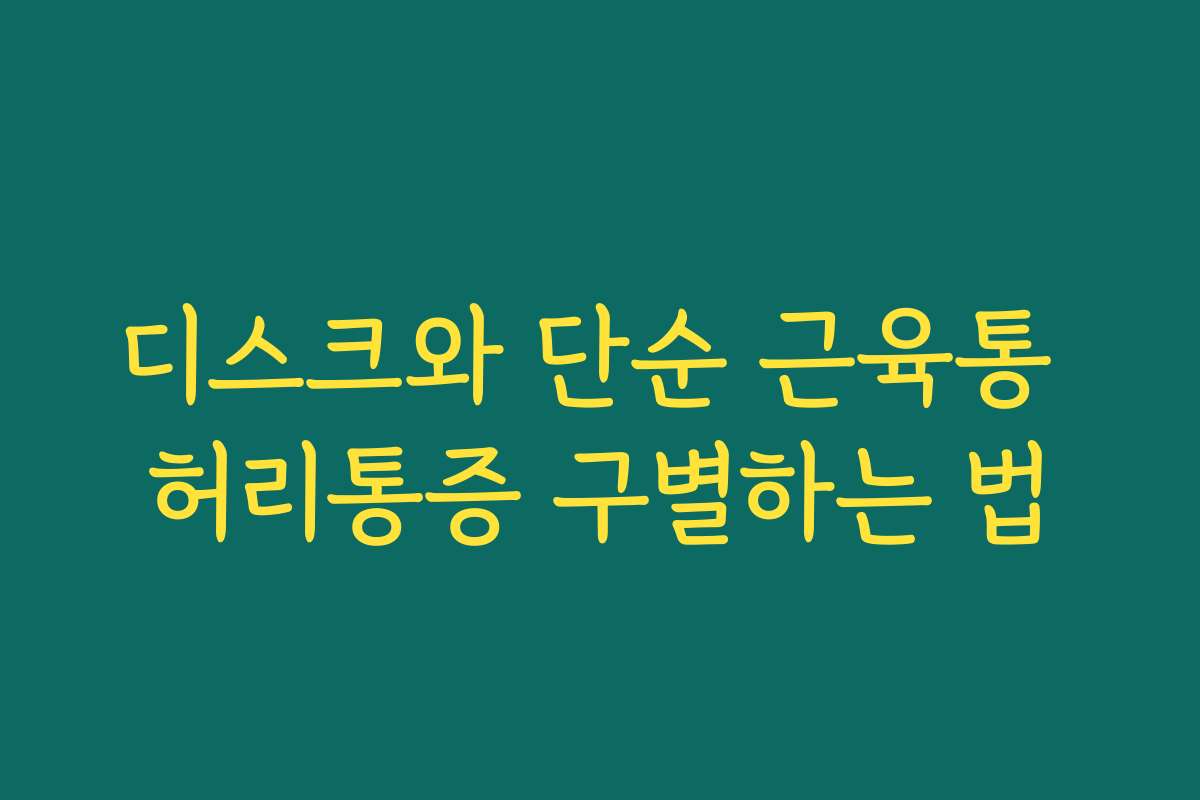 디스크와 단순 근육통 허리통증 구별하는 법 디스크와 단순 근육통 허리통증 구별하는 법