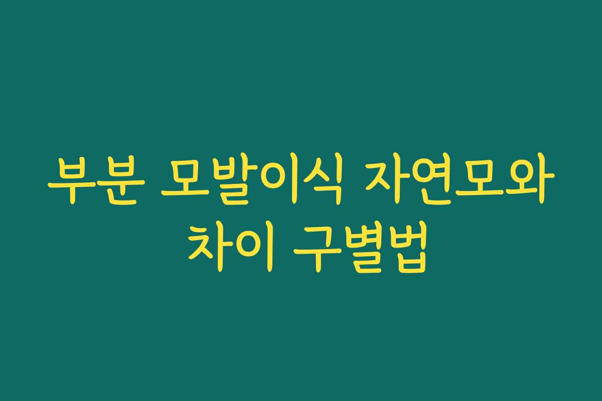 부분 모발이식 자연모와 차이 구별법 부분 모발이식 자연모와 차이 구별법