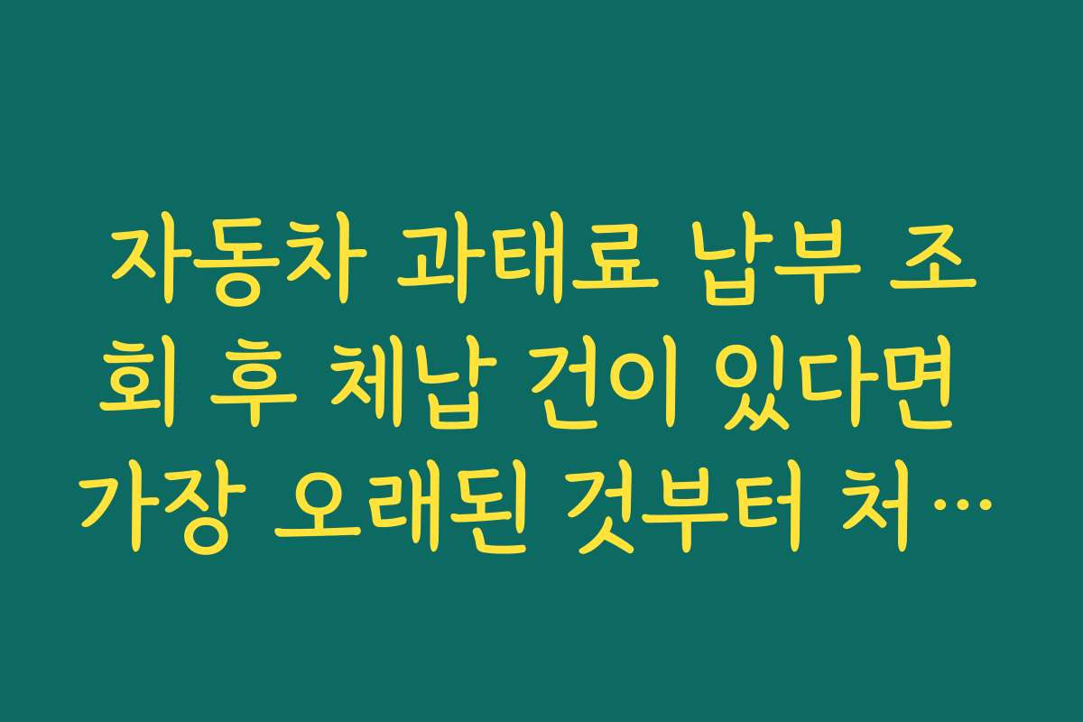 자동차 과태료 납부 조회 후 체납 건이 있다면 가장 오래된 것부터 처리해야 하는 이유 자동차 과태료 납부 조회 후 체납 건이 있다면 가장 오래된 것부터 처리해야 하는 이유