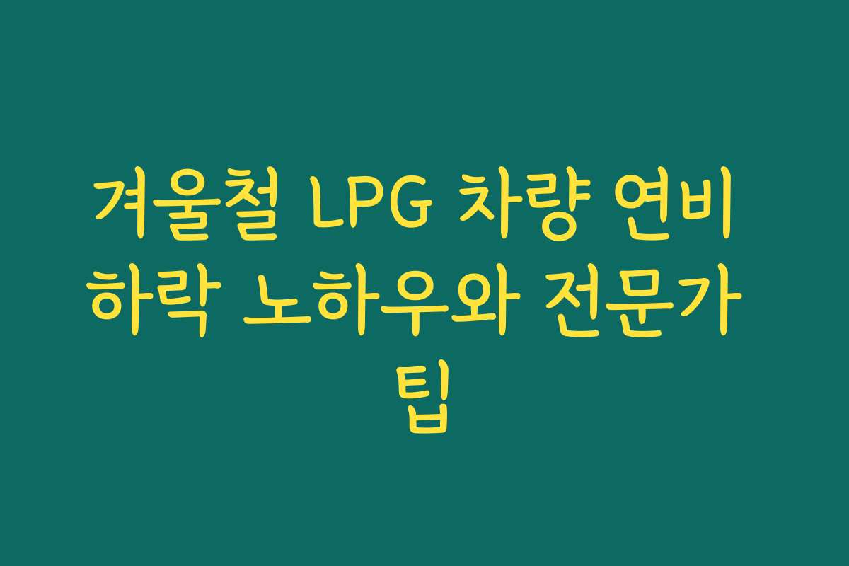 겨울철 LPG 차량 연비 하락 노하우와 전문가 팁