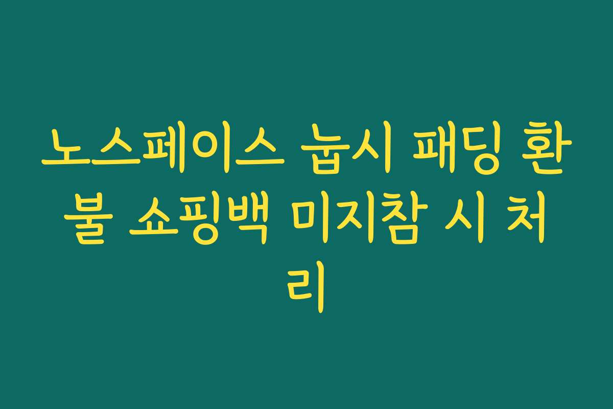 노스페이스 눕시 패딩 환불 쇼핑백 미지참 시 처리