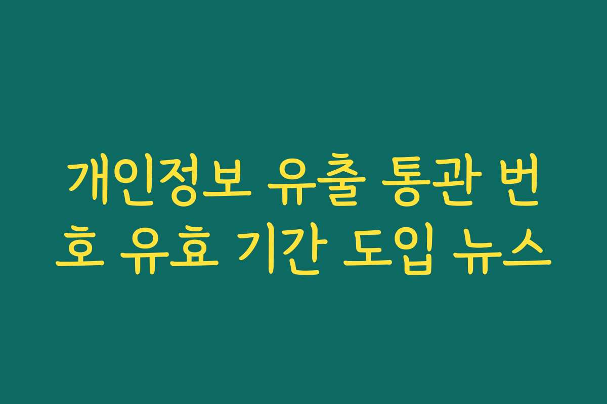 개인정보 유출 통관 번호 유효 기간 도입 뉴스 개인정보 유출 통관 번호 유효 기간 도입 뉴스