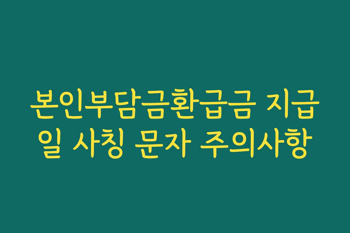 본인부담금환급금 지급일 사칭 문자 주의사항