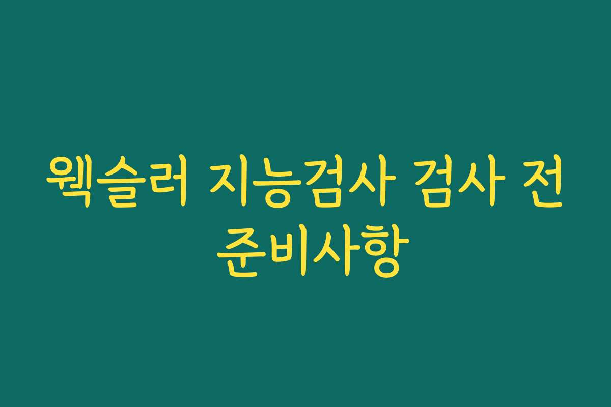 웩슬러 지능검사 검사 전 준비사항