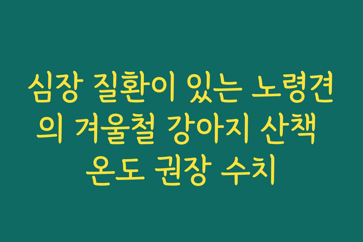 심장 질환이 있는 노령견의 겨울철 강아지 산책 온도 권장 수치