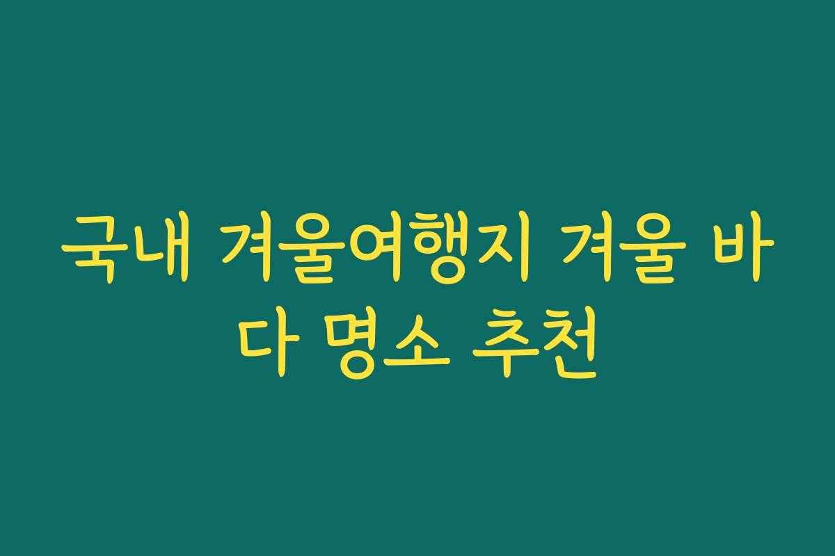 국내 겨울여행지 겨울 바다 명소 추천